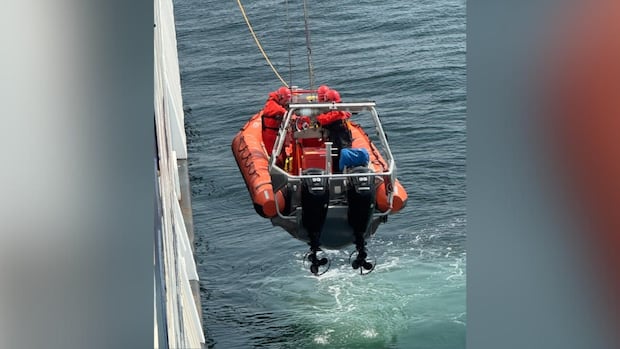 B.C. Ferries passenger goes overboard on Tsawwassen-Swartz Bay route