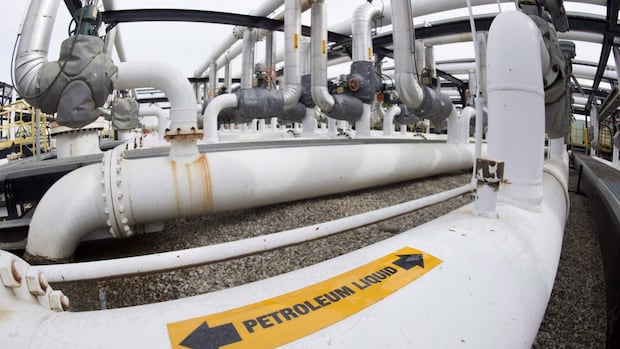 Why Trans Mountain wants to expand when the oil pipeline isn’t even full